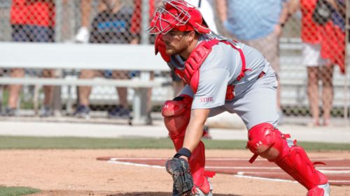 Cardinals catcher Pedro Pages to be a stabilizing force for a young starting rotation