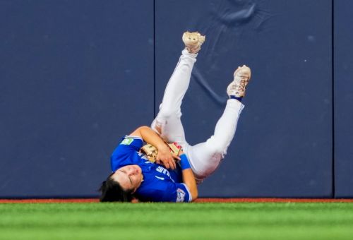 The 2026 Bluebird Banter Haiku Contest