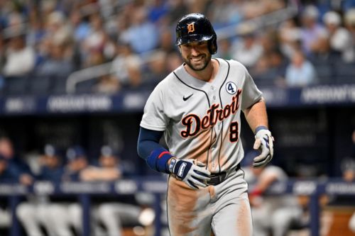 Tigers swinging hot bats in shutout win over Rays