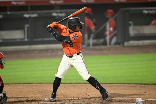 Giants Minor League Baseball roundup, July 23: Josuar González and Luis Hernández are A-Ball bound!