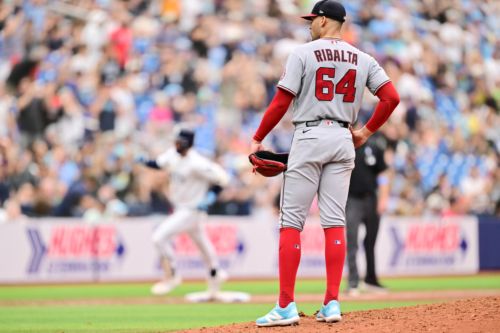 Washington Nationals drop a tight game to the Rays as the bullpen cost them