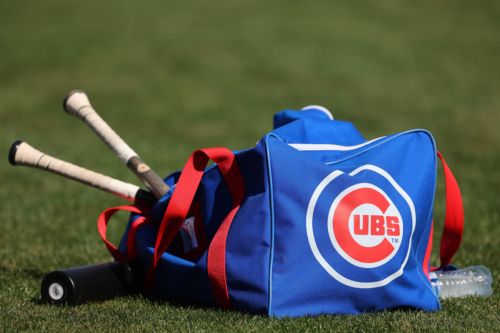 SB Nation Reacts survey: What do the Cubs need right now?