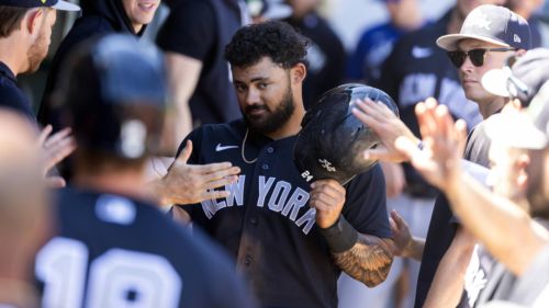 Yankees get big Jasson Dominguez update, but other injury situations are up in the air
