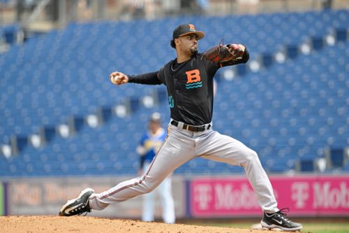 Orioles minor league recap 6/25: Watts-Brown dazzles in Baysox loss