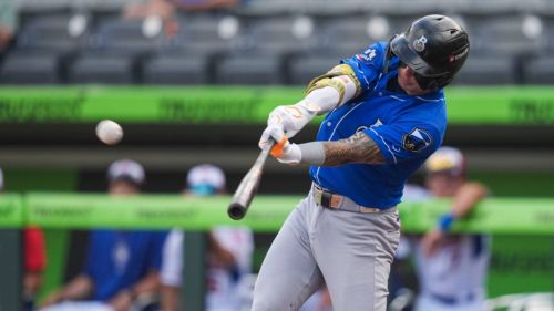 Brewers' prospect Andrew Fischer matches former MVP's ridiculous minor league home run mark