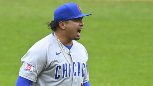 Daniel Palencia joins the ever-growing list of Cubs pitchers on the injured list