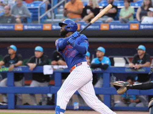 Fan Shot: Meet The Mets, The 2026 Edition