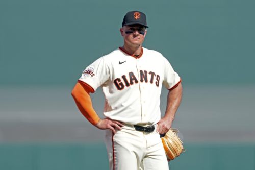 Bats still in transit