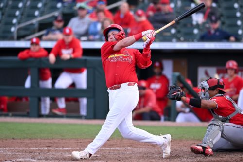 Five Players Trying to Crack Cardinals 40-Man Roster