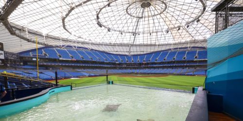 Rays set for Trop homecoming 561 days in the making