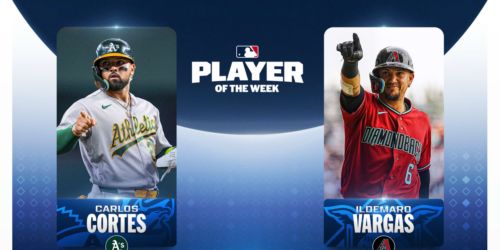 Unsung hitters share spotlight with Player of the Week honors