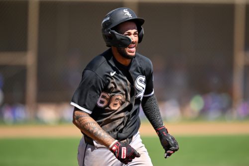 White Sox Minor League All-Stars of 2026