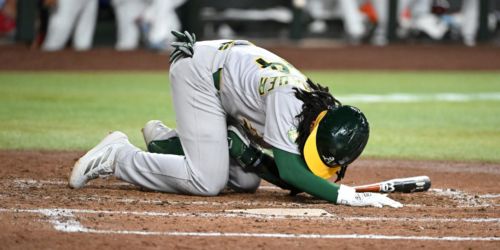 Kuroda-Grauer resting comfortably after emergency surgery