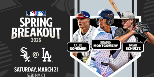 Here's the White Sox player pool for their Spring Breakout game