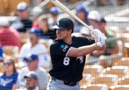 White Sox Minor League Update: June 19, 2026