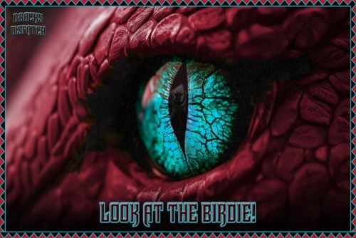 The SteadyBacks Trade a Brutal Uppercut for 2 Solid Jabs to Win the Series