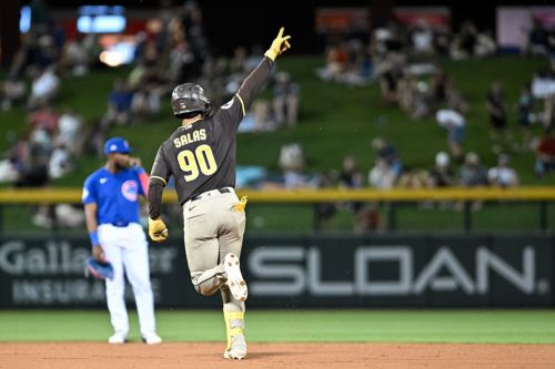 Top Early Standouts in the Padres’ Farm System
