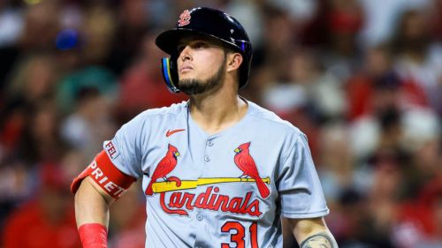 Cardinals fans will have to wait a little longer to see Joshua Baez mash big league homers