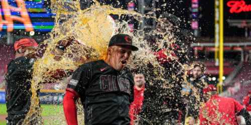 'We just don’t give up': Lowe's walk-off HR tops Tigers as Reds rally twice