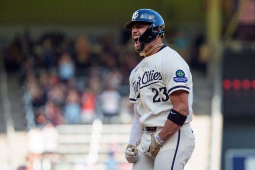 Twins Notes: Lewis, Rotation, Bradley