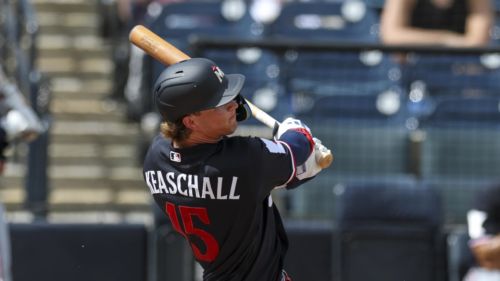 Twins' latest spring training lineup could be map to regular season success