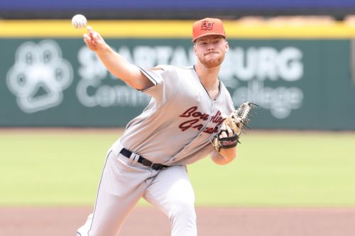 Tampa Bay Rays 2026 Minor League Roundup: Week 14