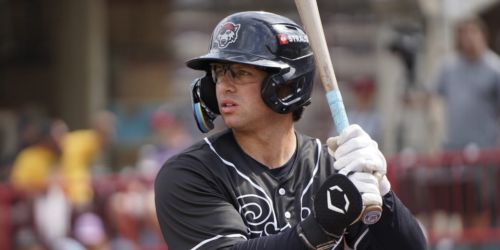 Tigers farmhand slugs TWO grand slams in same game during Double-A playoffs