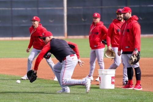 Reds To Select Nathaniel Lowe’s Contract