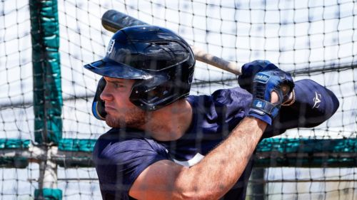 Tigers top prospect fans have been waiting to see just made his long-awaited return