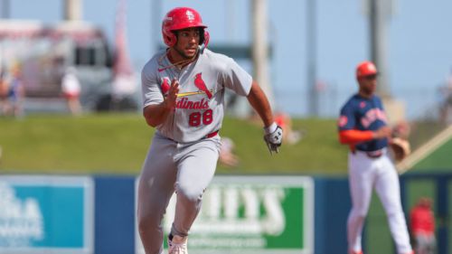 New poll reveals ludicrous expectations regarding Cardinals mega-prospect Rainiel Rodriguez