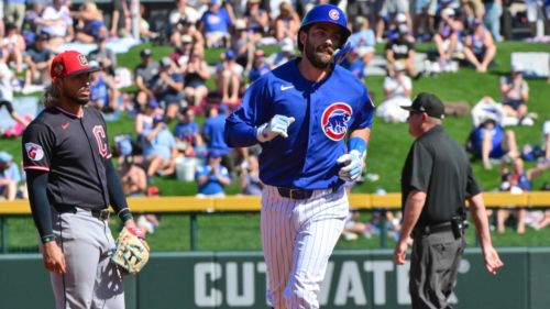 Dansby Swanson spring training surge shows Cubs exactly what they needed