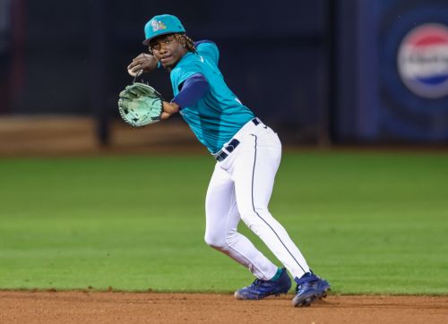 Mariners Prospect Ratings: #8, Felnin Celesten