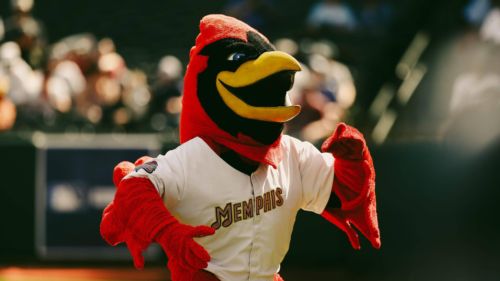 Cardinals make several roster moves in the minors highlighted by red-hot infielder