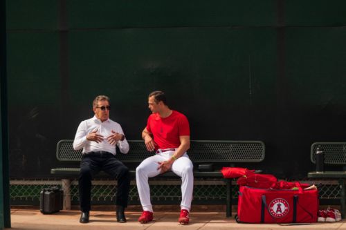 The Angels, Their Owner, and Yosemite