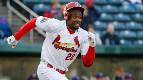 The Springfield Cardinals should adopt this creative name after announced rebrand