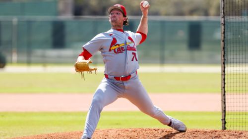 Feel-good Cardinals prospect experiences another heartbreaking injury
