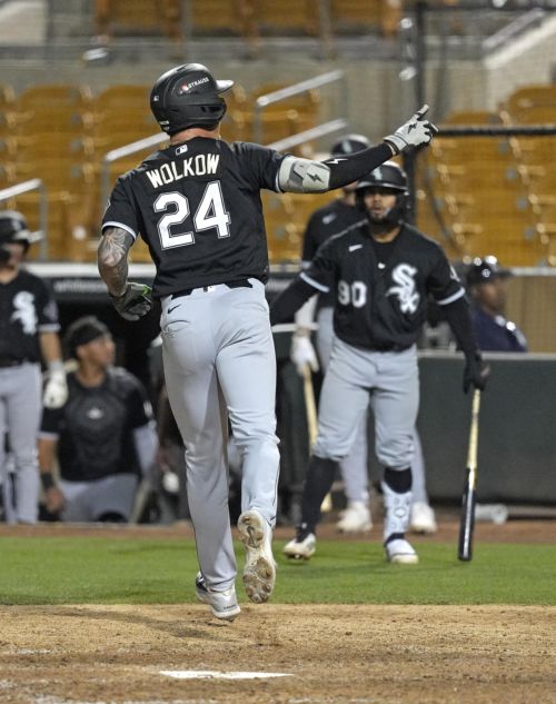 White Sox Minor League Update: August 22, 2026