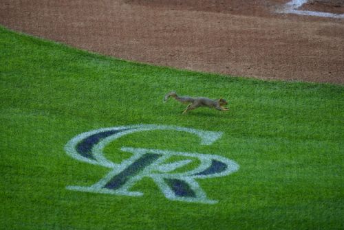 Braves 9, Rockies 1: Just one wing at Coors Field tonight