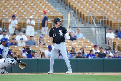 White Sox Minor League Update: June 28, 2026