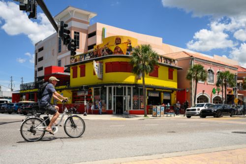 Game 9: Rays at Twins
