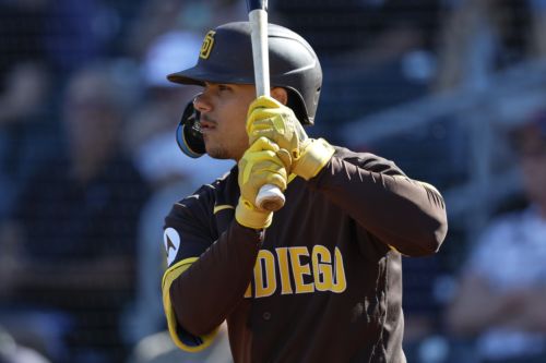 Spring Breakout: San Diego Padres Prospects at Chicago Cubs Prospects