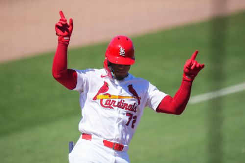 Cardinals make flurry of minor league moves to open up opportunities