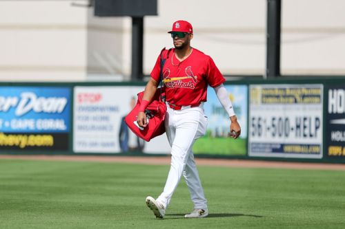 How Can the Cardinals Get Joshua Báez’s Bat in the Lineup?