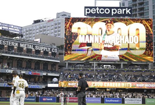 The Padres Bet On Themselves—And Won