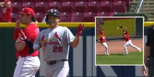 Routine fly turns into nightmare as Reds unravel in 9th