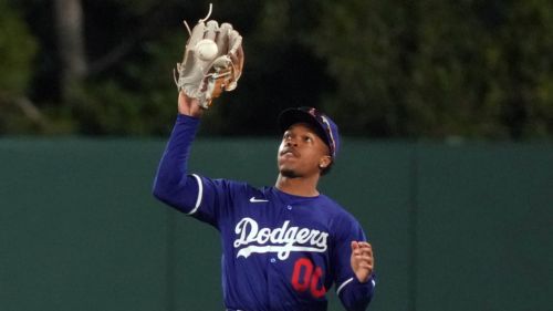 Dodgers prospect just revealed his freak dog injury ended with a surprise surgery twist