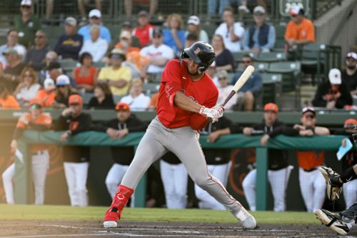 Red Sox Minor Lines: Tanner Houck looks ready, Allan Castro is clutch yet again