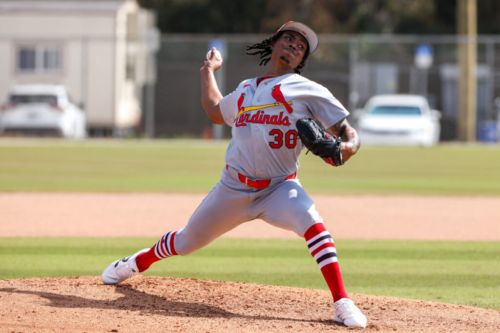 Cardinals Outright Tink Hence