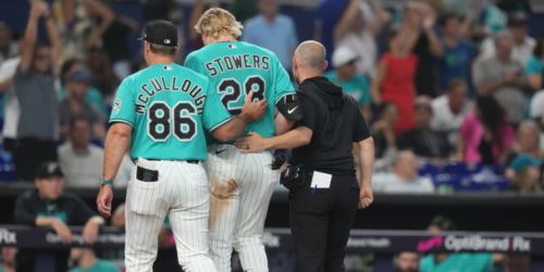 Stowers (left hamstring strain) to be reinstated from IL (source)
