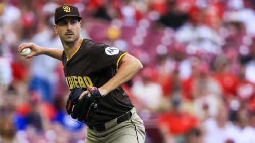 Padres manager Craig Stammen doesn't mince words about Bryan Hoeing injury blow